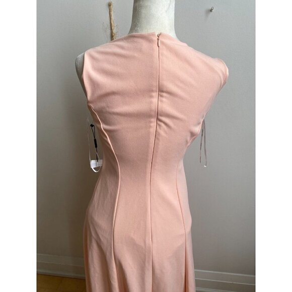 Calvin Klein Women seamed sleeveless in nectar Dress BNWOT sz 4 - Picture 4 of 7